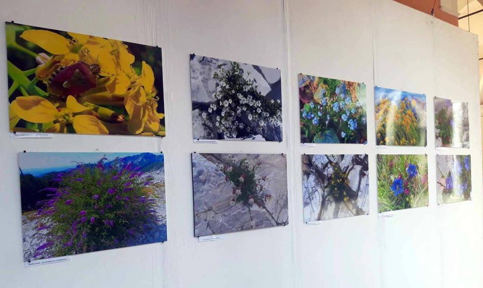 Le foto di Elia Pegollo e la magìa delle Apuane montagne irripetibili 