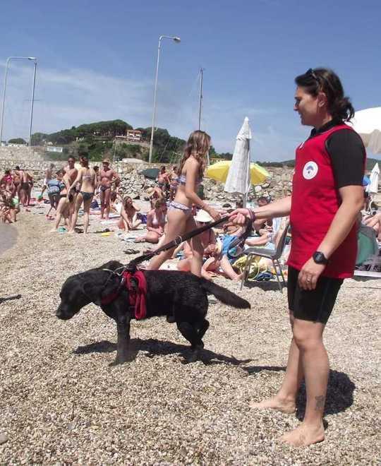 I cani da salvamento pattugliano la costa