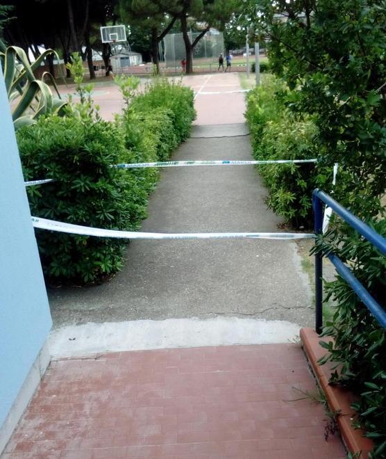 Emergenza vespe al campo scuola