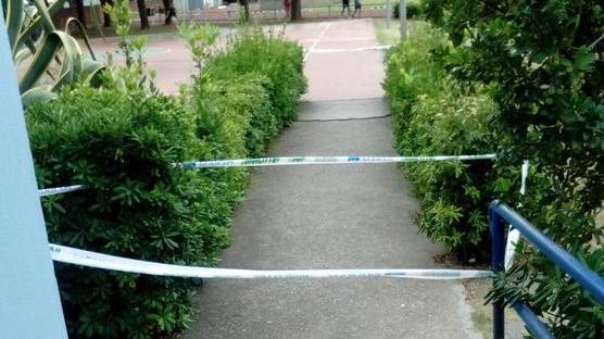 Emergenza vespe al campo scuola