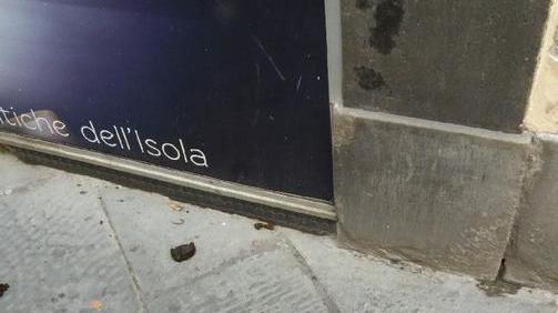 Sporcizia in piazza, l’odissea di un cittadino