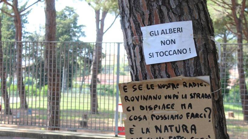 «Il Comune mostri la relazione e autorizzi la controperizia»