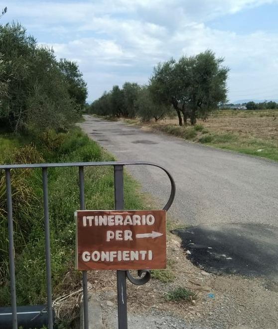 La segnaletica “fai da te” per trovare la città etrusca 
