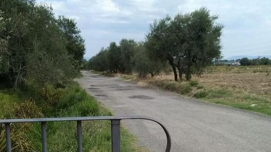 La segnaletica “fai da te” per trovare la città etrusca