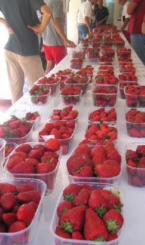 La qualità del cibo Se è importato contiene il doppio di residui inquinanti 