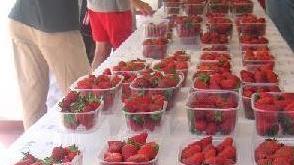 La qualità del cibo Se è importato contiene il doppio di residui inquinanti