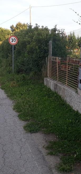 Una strada di proteste «In via Ca’ Corti bisce e sporcizia» 