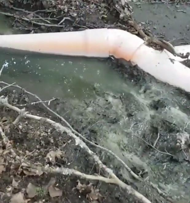 Liquami nel bosco, la replica di un imprenditore: «La gestione spetta al Comune» 