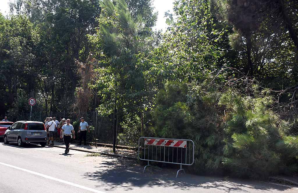 Cade grosso ramo all'Oasi Wwf ai Ronchi, colpito un passante in bici