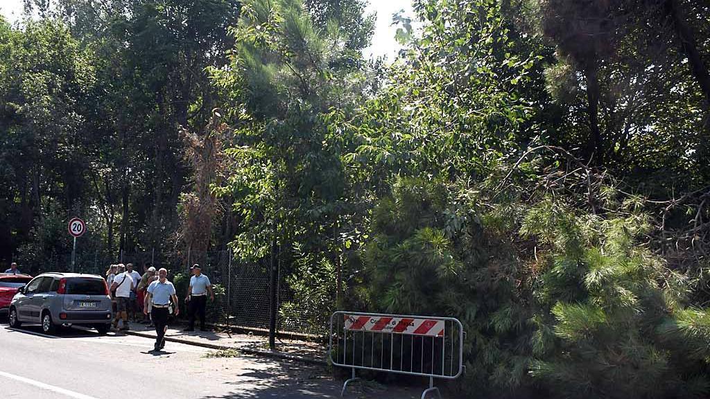 Cade grosso ramo all'Oasi Wwf ai Ronchi, colpito un passante in bici