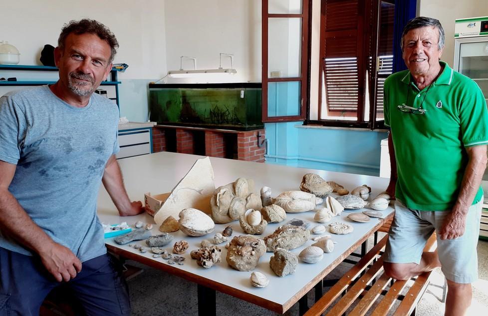 Fossili donati all’Istituto di Biologia Marina