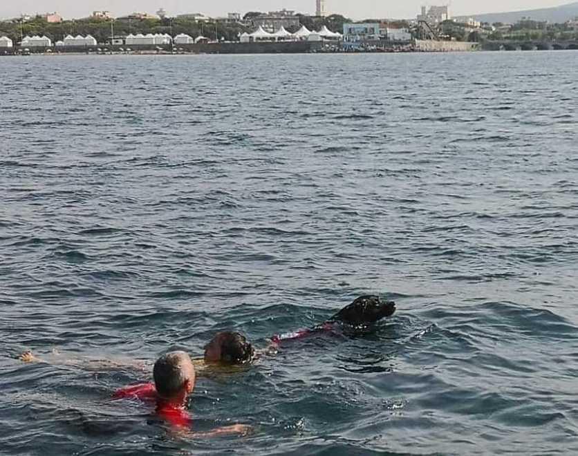 Golia e Giotto volontari a 4 zampe sulla costa