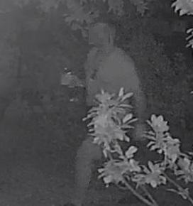 Ladri scatenati Oggi un incontro in prefettura 