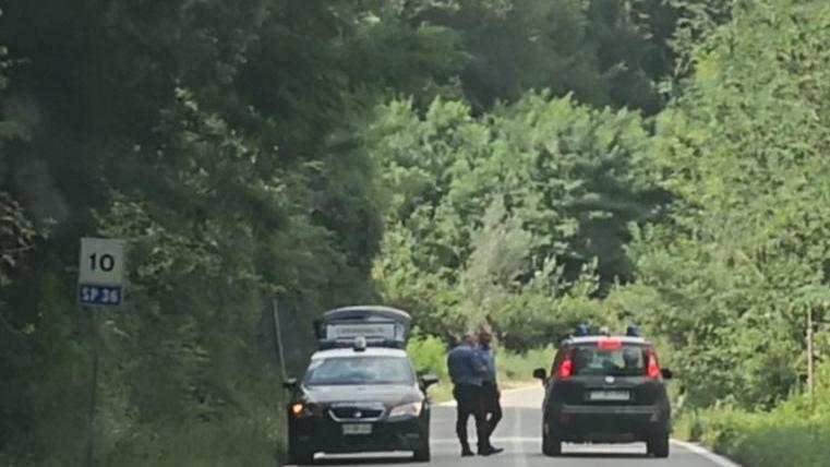 Centinaia in “delirio” per il rave party organizzato nel bosco