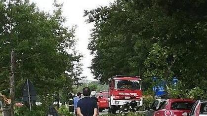 La Sterza, albero sulla strada