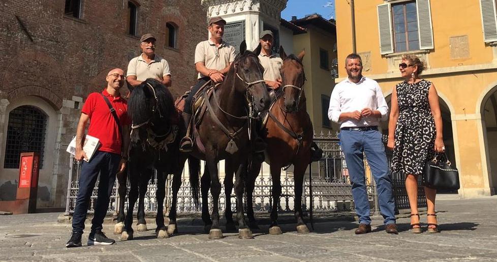 I Cavalieri dei Santuari