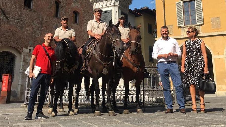 I Cavalieri dei Santuari