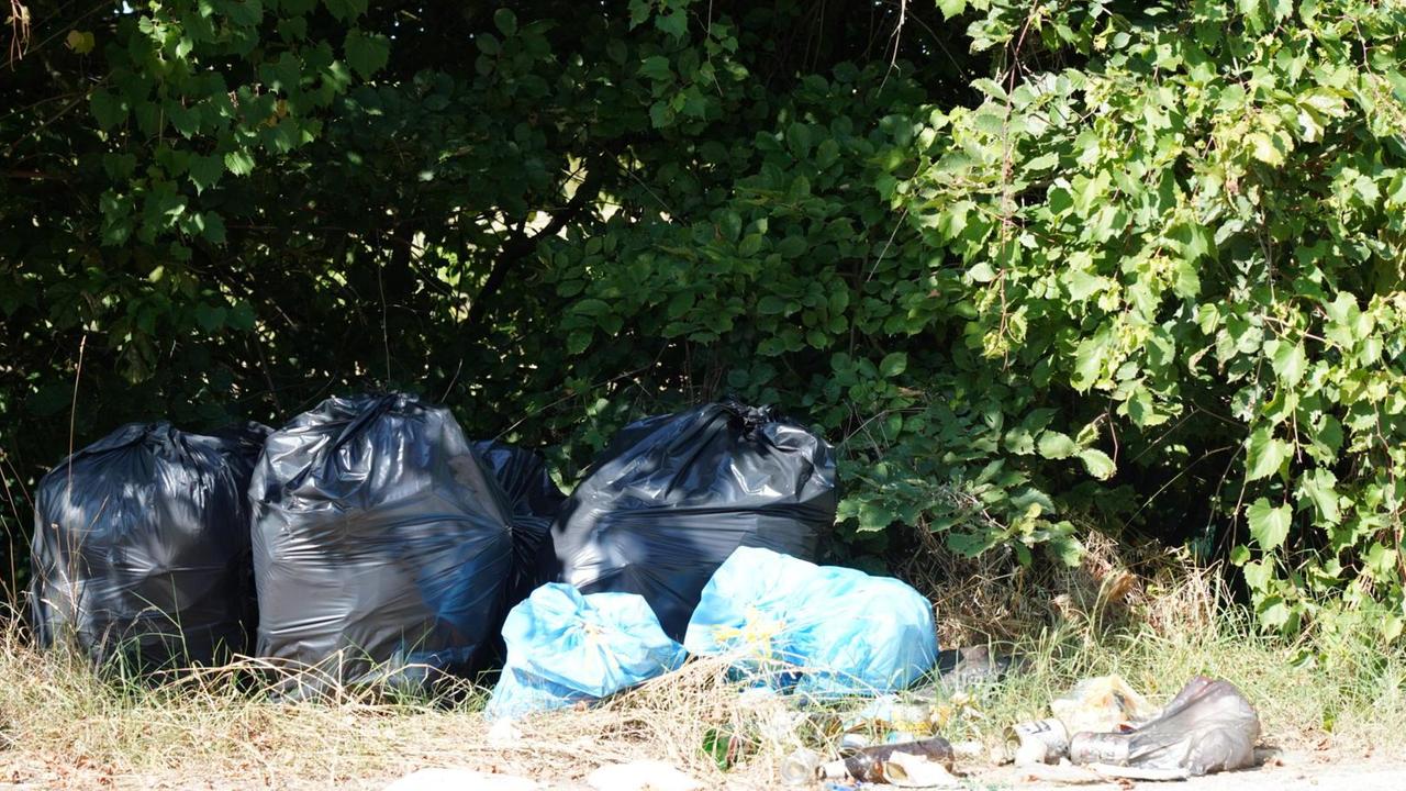 È ora di schierare armi efficaci con chi è nemico dell’ambiente