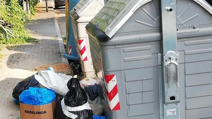 «Impressionato dai rifiuti al lato della carreggiata»