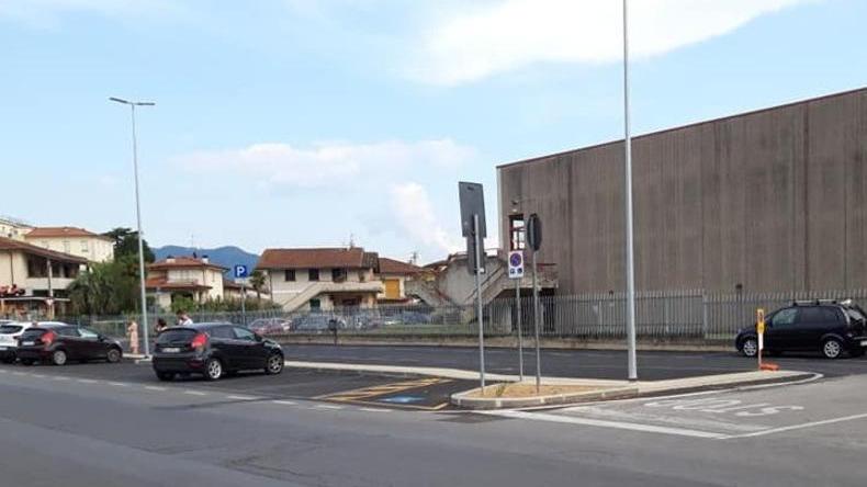 Parcheggi gratuiti e nuovi alberi intorno al Palasport