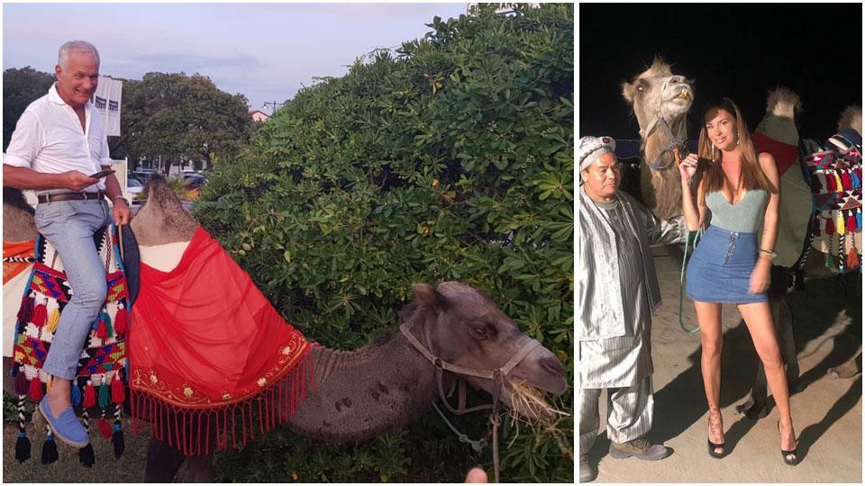 Tiziano Nardini, contitolare del Maitò sul dorso del cammello incriminato e la foto pubblicata su Instagram dalla showgirl Antonella Mosetti
