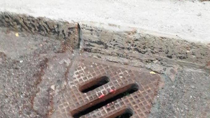Esche a vista per eliminare i topi dal centro storico