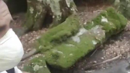 Liquami nel bosco Si farà manutenzione