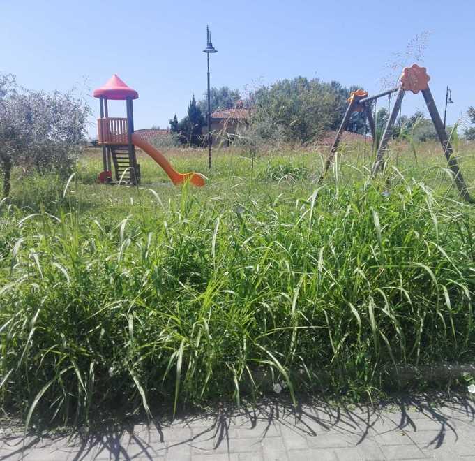 «I parchi sono in degrado, dove vanno i soldi della Tasi?»