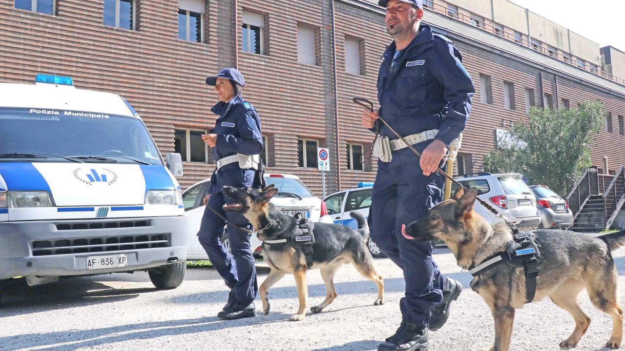 Spaccio, 290 servizi antidroga della Polizia Locale di Ferrara. Massima attenzione per le scuole