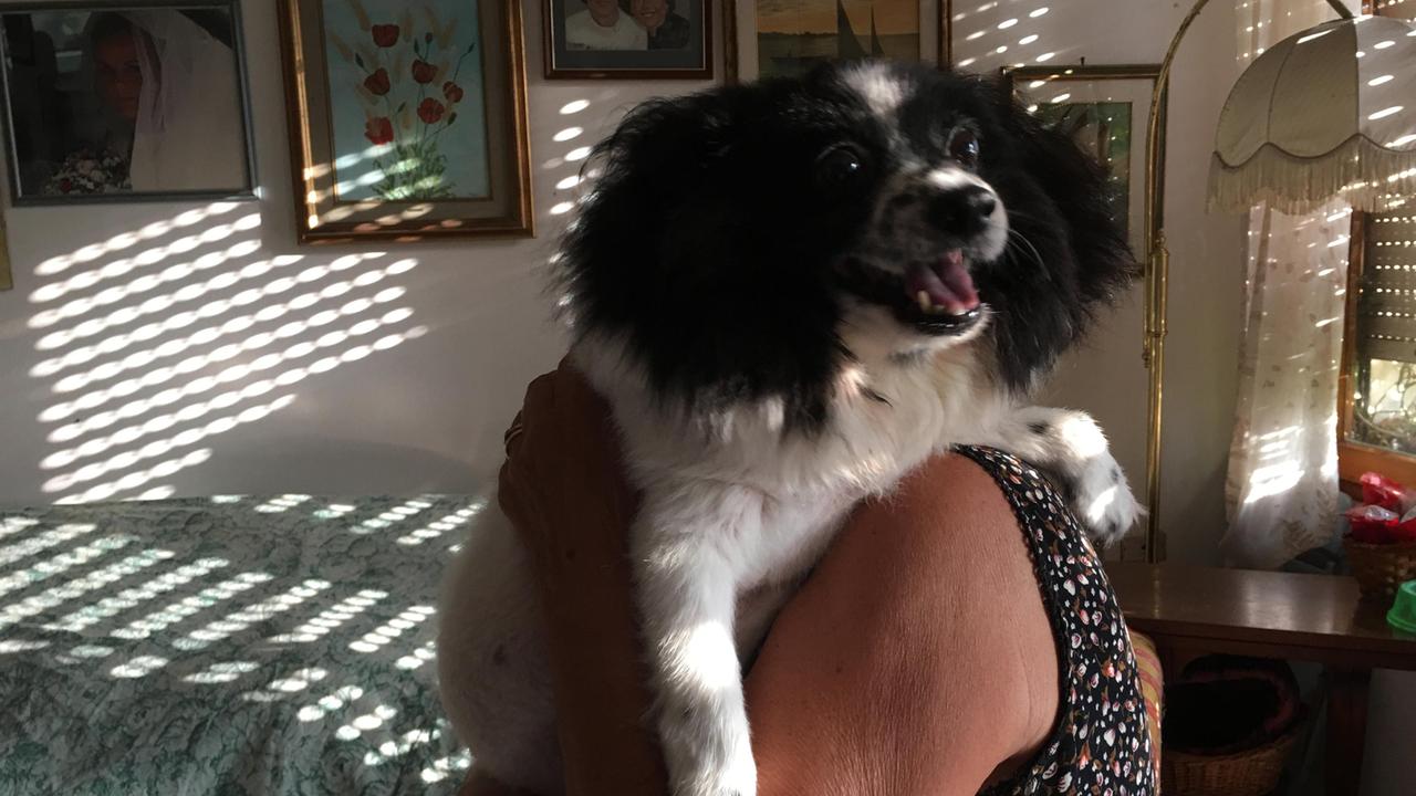 La donna con la canina Juma che ha dato l’allarme
