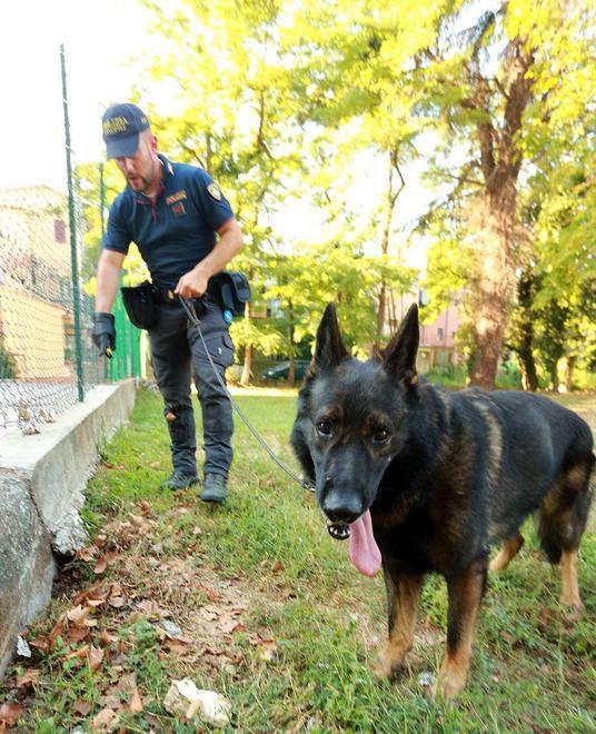 Niente carcere agli spacciatori se sono senza fissa dimora 