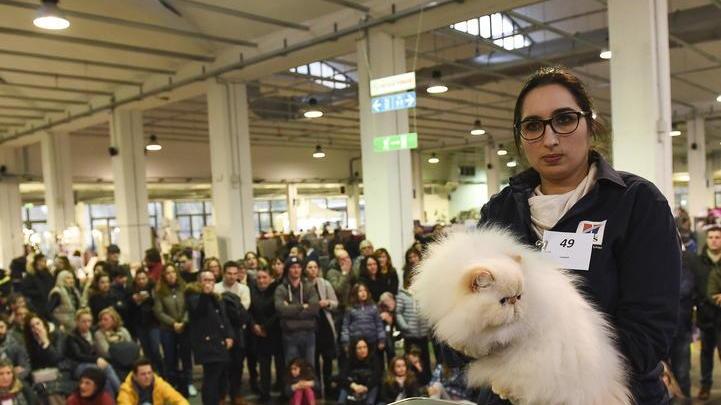 Nove eventi in nove mesi per il Polo Fiere di Sorbano