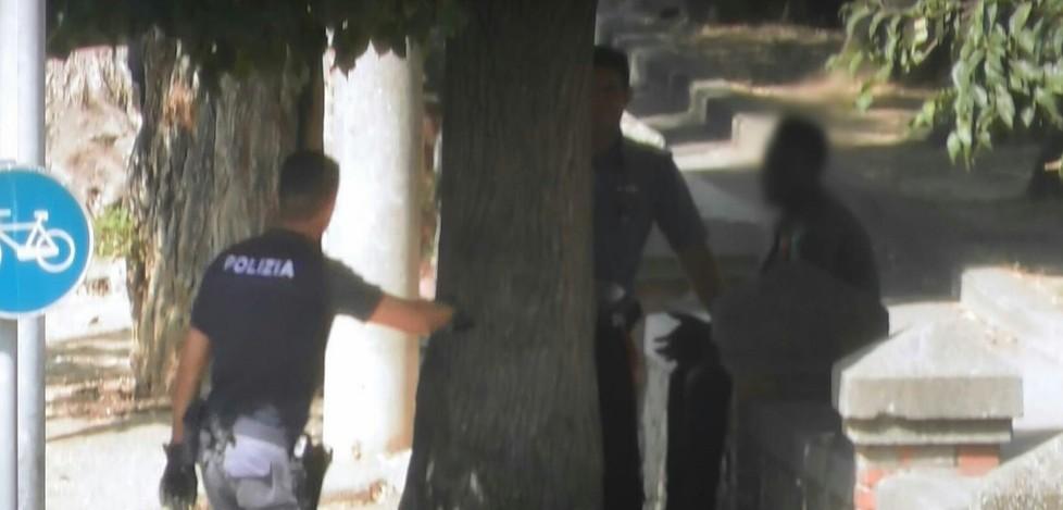 Il “fumo” nascosto dentro un albero pusher in arresto 