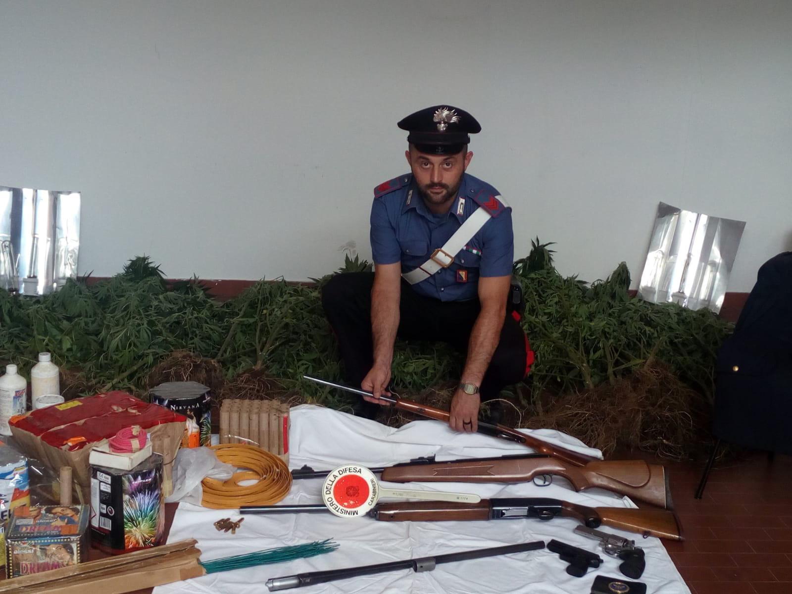 Le piante, le armi, i fuochi di artificio e il tesserino falsificato trovati a Enrico Fucentese