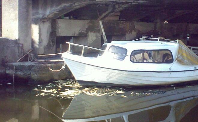 Continua la moria di pesci sul Burlamacca 