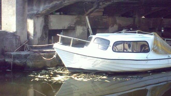 Continua la moria di pesci sul Burlamacca