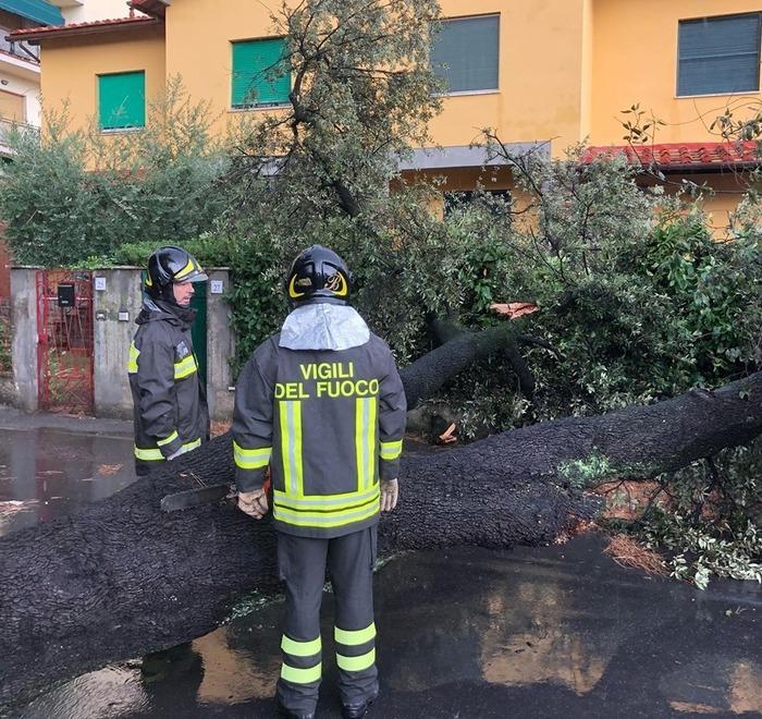 Alberi cadono sulla strada e danni al Mercato dei fiori