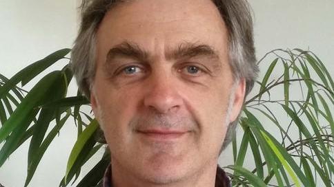 Vendemmia, la resa cala del 15 per cento ma il clima stabile ha favorito la qualità