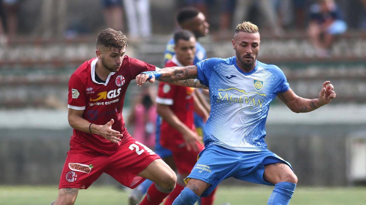 Caccavallo in azione