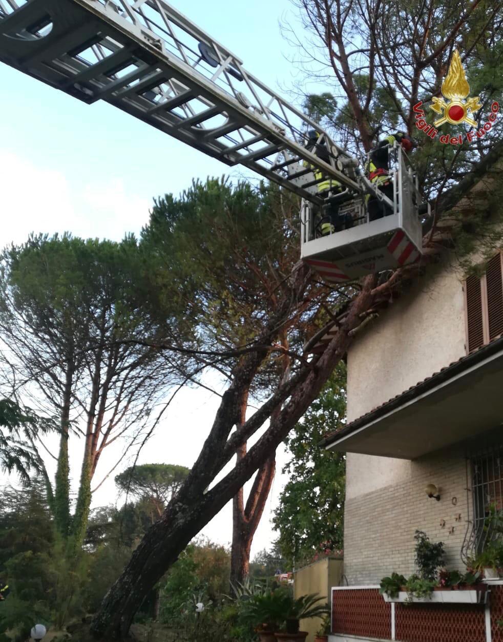 Violento temporale spazza la zona del cuoio: albero cade su una casa 