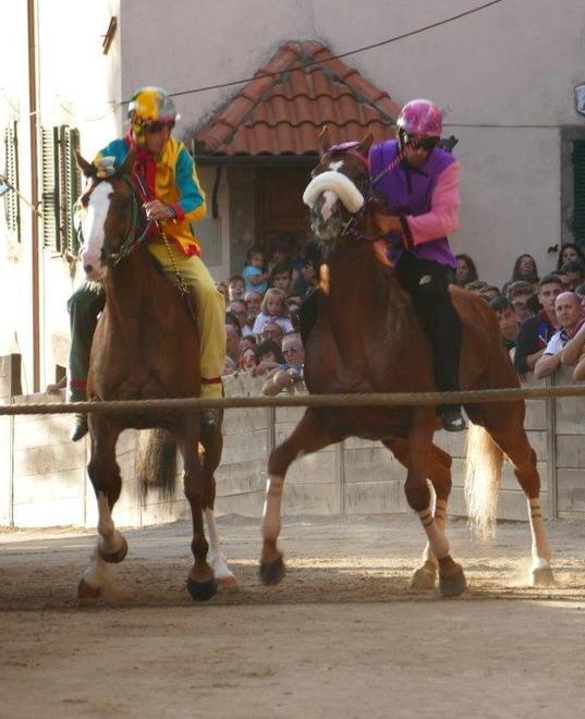 È già atmosfera di festa Oggi viene presentato il Palio 