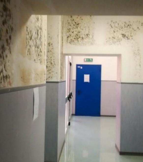 Cisanello, muffa sulle pareti del reparto ospedaliero: «Ambulatori allagati nei raid dei ladri» 