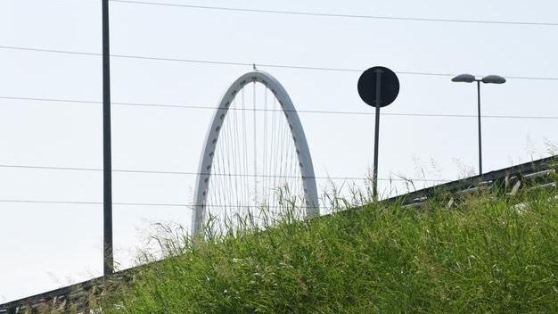 Reggio Emilia, il Comune a caccia di consigli per curarle il verde attorno alle opere di Calatrava - Dite la vostra