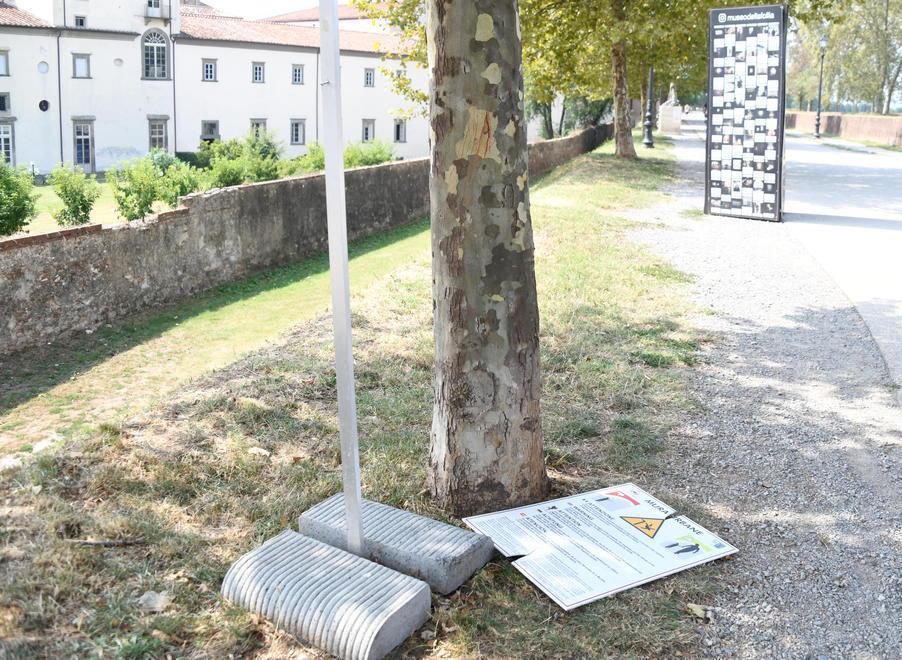 Cartelli divelti e spezzati sul percorso dell’arborato cerchio