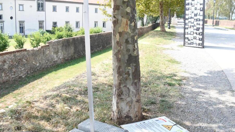 Cartelli divelti e spezzati sul percorso dell’arborato cerchio
