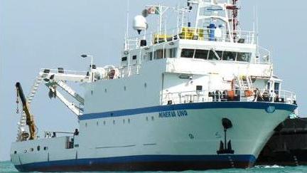 «Per ora nessun rischio per la salute»