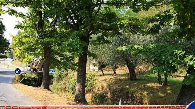 Riprendono i lavori di Acque spa sulla Calcesana
