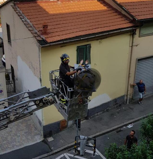 Cade in casa, la fanno uscire dalla finestra