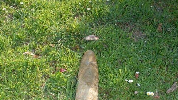 Artificieri in azione per rimuovere la bomba