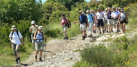 A piedi da piazza Giusti fin sulle frazioni collinari 
